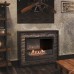 Биокамин Firelight BFP/P-3020 производитель Firelight
