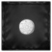 Биокамин Firelight BFP/T-2020 Black производитель Firelight