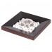 Биокамин Firelight BFP/T-2525 Cup производитель Firelight